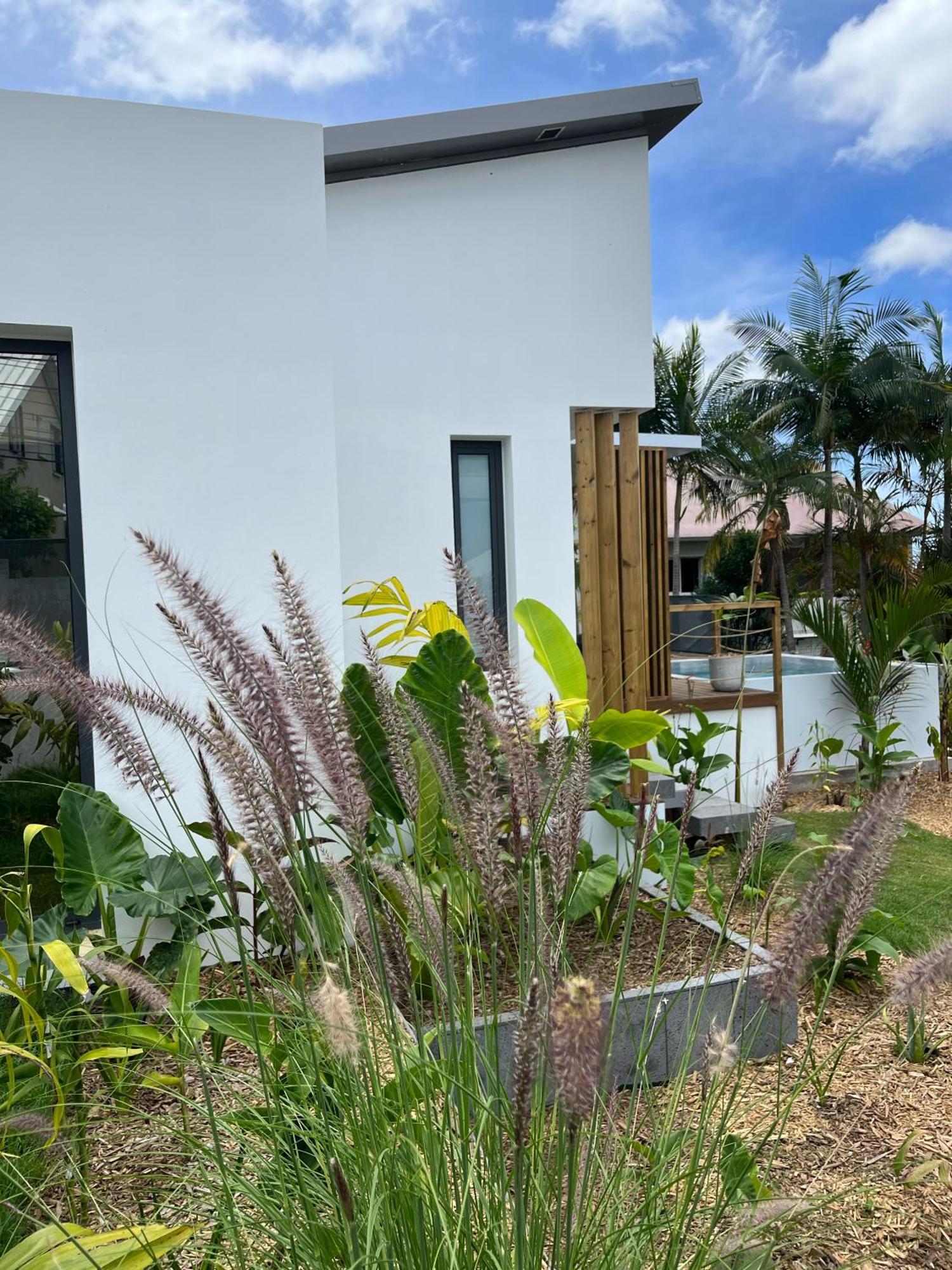 L'Empreinte-Oasis De Serenite Au Coeur D'Un Jardin Tropical Le Tampon Kültér fotó